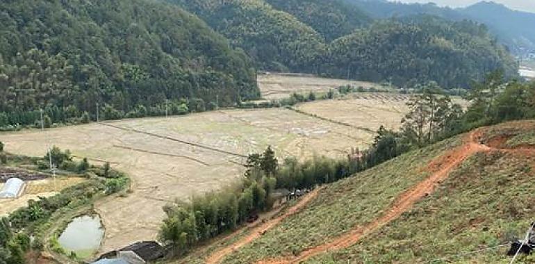  ¡Alerta roja! La deforestación devasta la salud del planeta