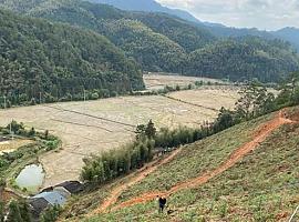  ¡Alerta roja! La deforestación devasta la salud del planeta