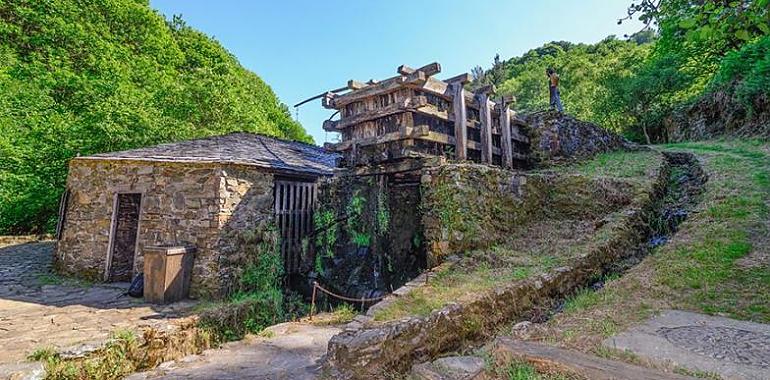 Volver al pueblo: un canto a la vida que reverdece el corazón del suroccidente asturiano