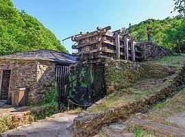 Volver al pueblo: un canto a la vida que reverdece el corazón del suroccidente asturiano