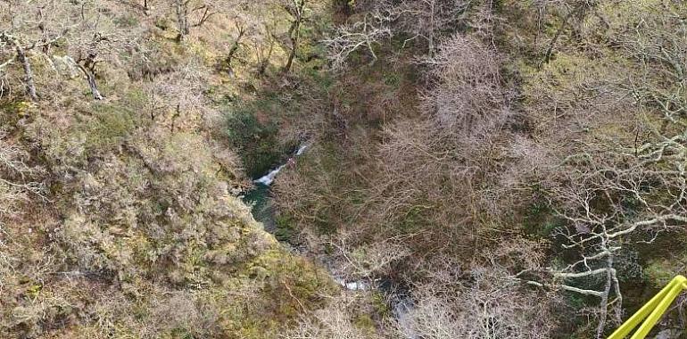 Rescate heroico en Amieva: Bomberos salvan a un hombre herido en un barranco