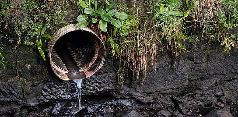 Los ecologistas señalan que España está al borde del precipicio: 22 de marzo, Día Mundial del Agua