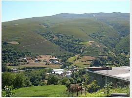 Fundación Caja Rural de Asturias: Un bosque de innovación para un futuro mejor