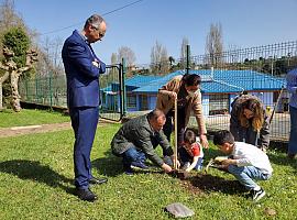 Avilés: ¡10 nuevos árboles para un futuro más verde!