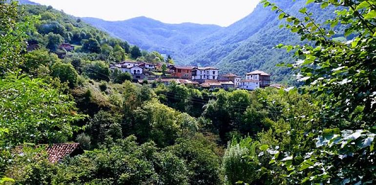 Ponga estrena un transporte a demanda para combatir la despoblación y facilitar la vida en el ámbito rural