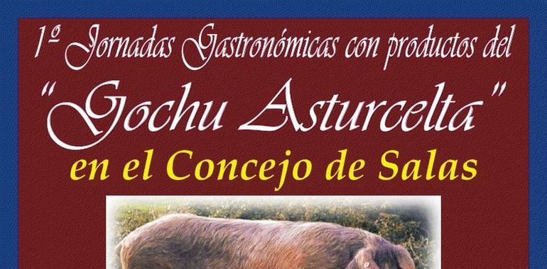 I Jornadas gastronómicas del gochu asturcelta en Salas