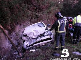 Una mujer de 53 años, policontusionada tras un accidente a la altura de Calabazos, Tineo