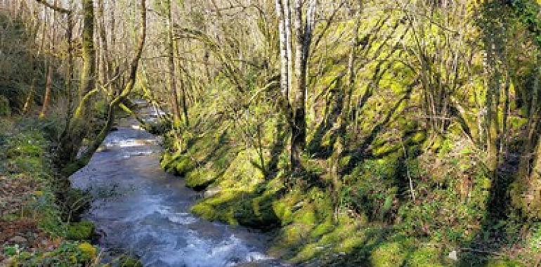 Intensa búsqueda de un pescador desaparecido en el río Aviouga