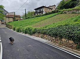 El Principado mejora las carreteras de Peñamellera Alta con una inversión de 258.000 euros