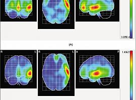 El cerebro femenino y masculino, ante la violencia en el cine: dos mundos distintos