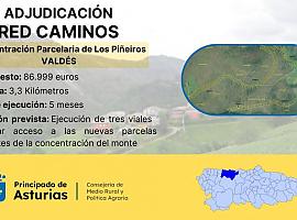 Se adjudican las obras de la red de caminos de la concentración parcelaria de Los Piñeiros por 87.000 euros