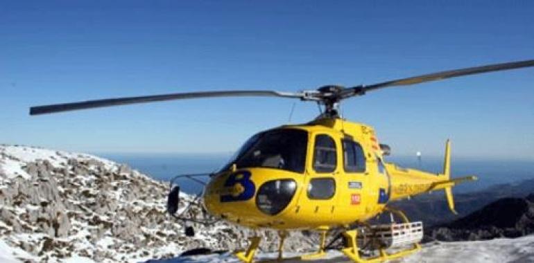 Fallece un hombre al carle encima un árbol en Valdés