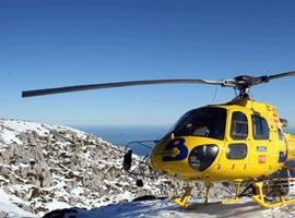 Fallece un hombre al carle encima un árbol en Valdés