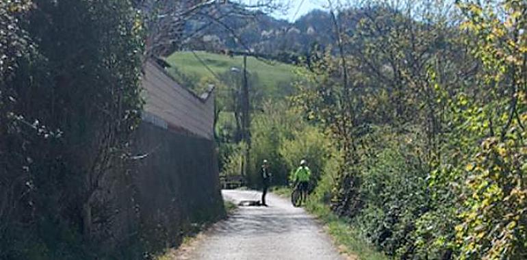 Lena da un paso adelante en la mejora de sus accesos: 199.000 euros para acondicionar el camino a El Piridiil.lu