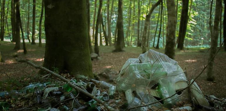 Basura en la naturaleza: multas desconocidas para el 68% de los españoles