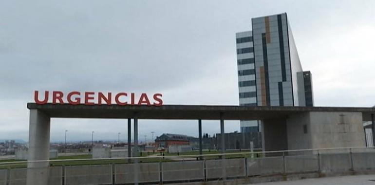 Ataque salvaje de un mastín deja a un niño hospitalizado