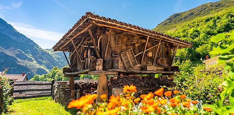 Asturias blinda su apuesta por el medio rural con la entrada en vigor de la Ley de Impulso Demográfico