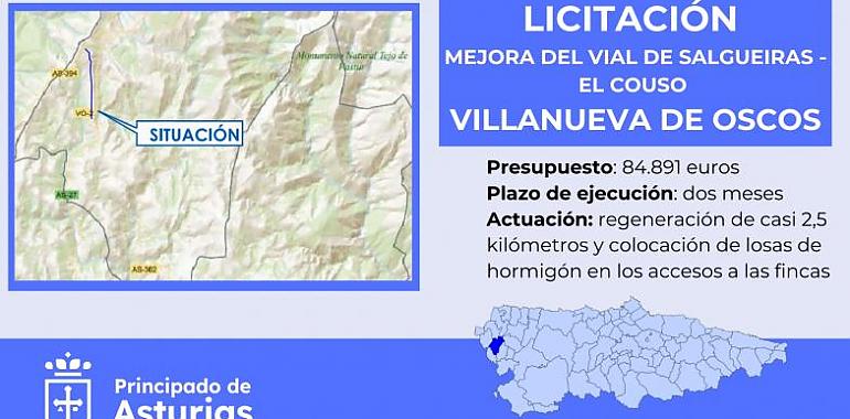 Mejoran el vial que une Salgueiras y El Couso en Villanueva de Oscos