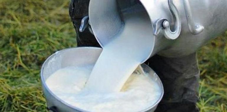 Oviedo se convierte en el paraíso quesero: Llega el I Mercado Internacional de Quesos de Leche Cruda (MILC)