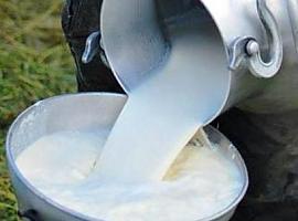 Oviedo se convierte en el paraíso quesero: Llega el I Mercado Internacional de Quesos de Leche Cruda (MILC)