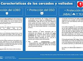 Extendido el plazo para solicitar ayudas de protección contra fauna salvaje hasta el 14 de Junio