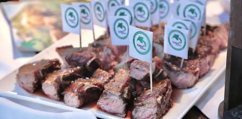 Cangas del Narcea Celebra un festival histórico con parrillada y espectáculo de drones