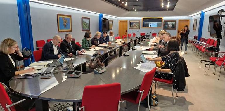 Asturias lanza un nuevo modelo para revolucionar el comercio: Simplificación y sostenibilidad importantes