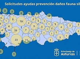 Movilización de recursos para proteger el medio rural: 200 solicitudes aceptadas para prevención de daños por fauna salvaje
