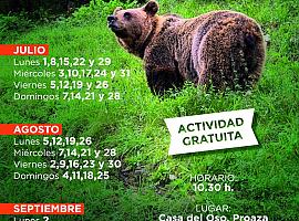 Descubre a los osos de Asturias: Abiertas las inscripciones para los itinerarios de verano gratuitos