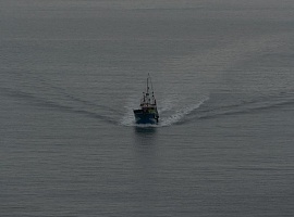 Defensa de la pesca artesanal ante la UE: Un pilar sostenible y vital para Asturias