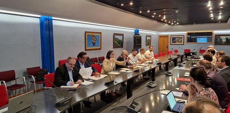 Asturias moderniza la ordenación territorial del comercio