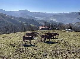 88 millones en ayudas de la campaña 2023 de la PAC en Asturias