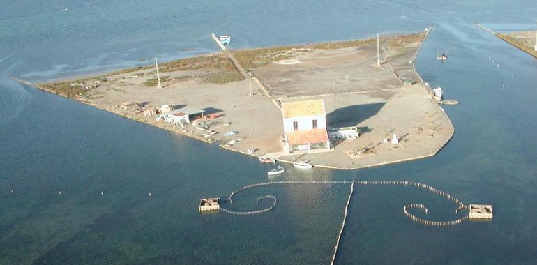 El Parque Salinas y Arenales de San Pedro del Pinatar incluido en la  Migratory Birds for People 