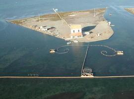 El Parque Salinas y Arenales de San Pedro del Pinatar incluido en la  \Migratory Birds for People\ 