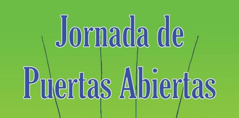 Jornadas de Puertas Abiertas a la Solidaridad en Oviedo