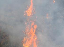 La FOP se persona como acusación particular en el caso del incendio provocado en Los Ancares leoneses