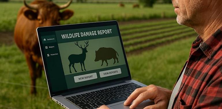 Asturias lanza una plataforma digital pionera para agilizar los pagos por daños de fauna salvaje y reforzar la prevención en el campo