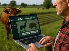 Asturias lanza una plataforma digital pionera para agilizar los pagos por daños de fauna salvaje y reforzar la prevención en el campo