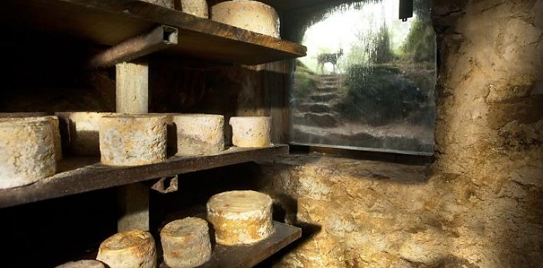 La consejería de Medio Rural encarga diez estanterías a medida para facilitar el secado del queso Cabrales en la cueva del Fresco.
