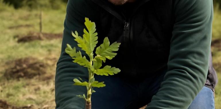 Asturias Paraíso Natural Film Commission y Vaca Films apuestan por la sostenibilidad con una reforestación en Somonte tras el rodaje de "Dímelo bajito"