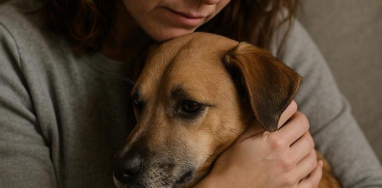 ¿Debemos tener días de duelo laboral por la muerte de una mascota 7 de cada 10 españoles dice que sí