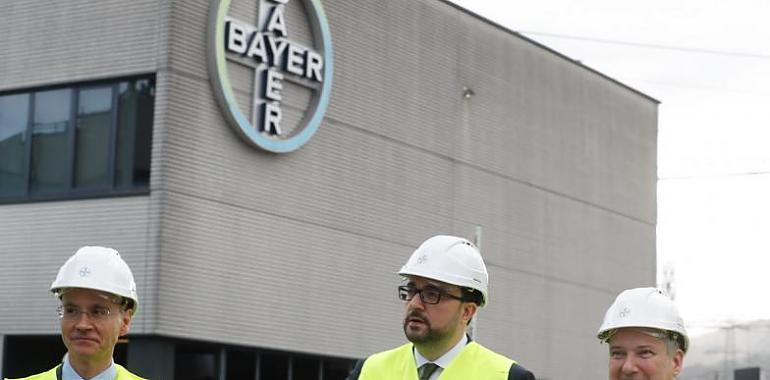 Asturias avanza hacia un futuro verde: 12,5 millones para impulsar la descarbonización y la innovación energética