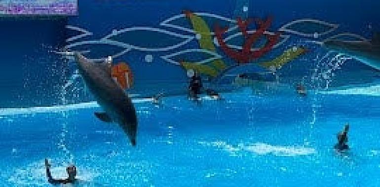 Un verano para recordar: sumérgete en la magia de Zoomarine Algarve