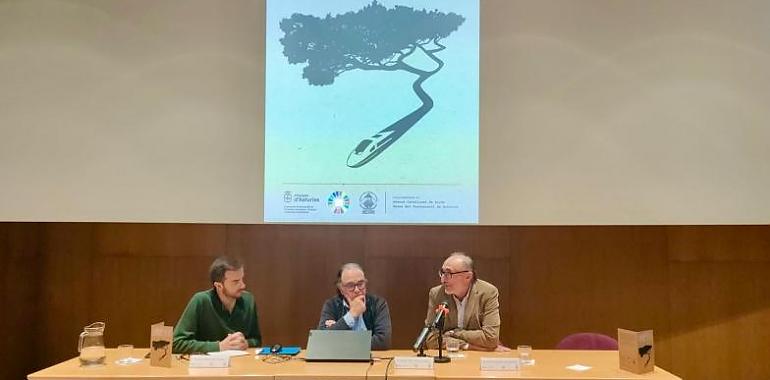 “El tren no es un negocio, es un derecho”: Asturias reclama su propio modelo ferroviario al estilo vasco
