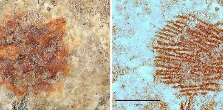 Hallan en Segovia la huella dactilar humana más antigua del mundo, marcada por un neandertal hace 43.000 años