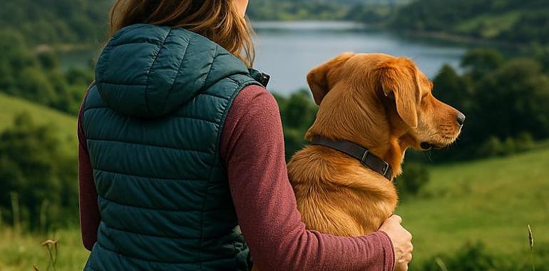 Asturias lanza un portal con más de 300 recursos para visitantes con mascotas: playas, hoteles, museos y transporte pet friendly