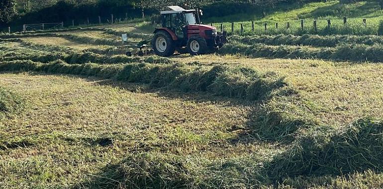 Impulso al campo cooperativo con 300.000 euros para modernizar y adaptar explotaciones al cambio climático