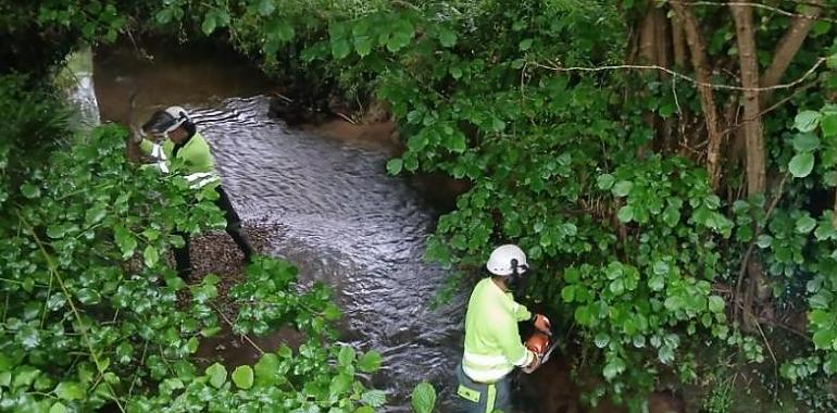 La Confederación Hidrográfica del Cantábrico inicia trabajos de mejora en el río Noreña para prevenir desbordamientos