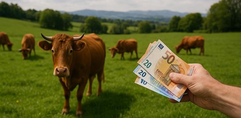 El Principado acelera los pagos de la PAC y bate récord: 78,4 millones abonados, 4,4 más que en 2024