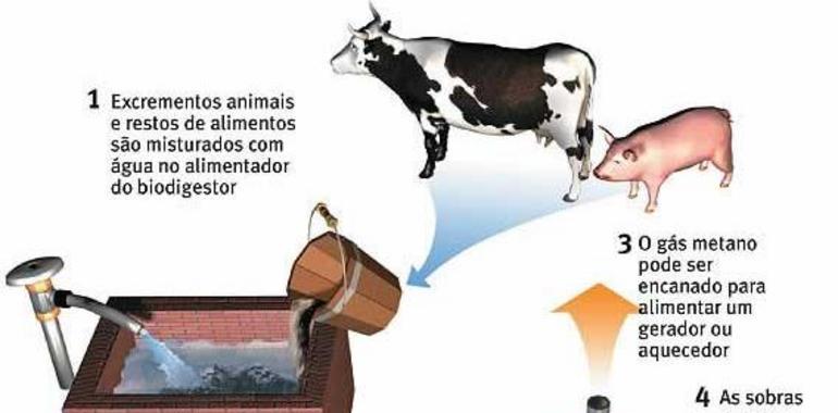 Informe favorable para una planta de aprovechamiento de biogás en Navia